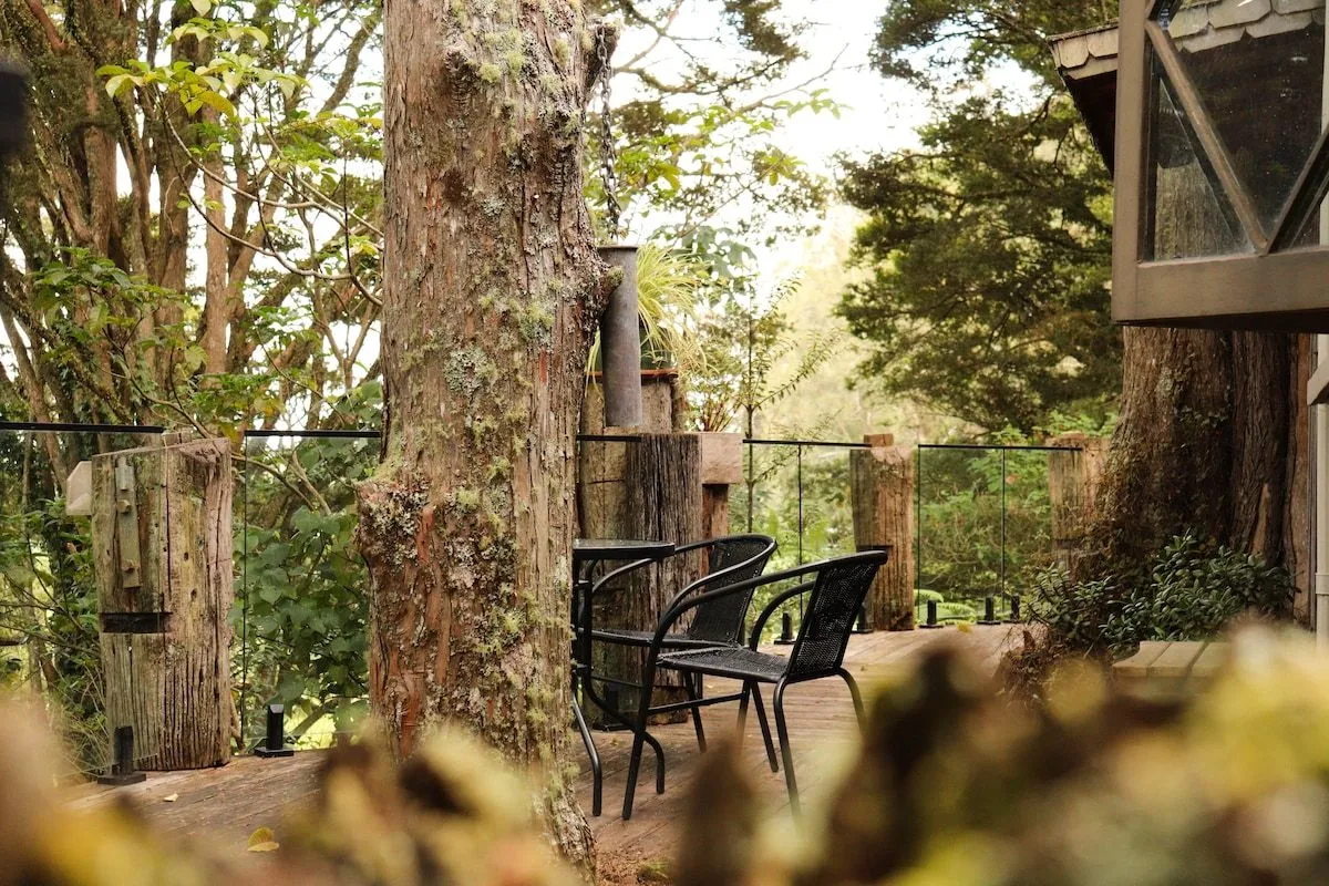 Two chairs on the treehouse deck, set between mossy native tree trunks with bush beyond.