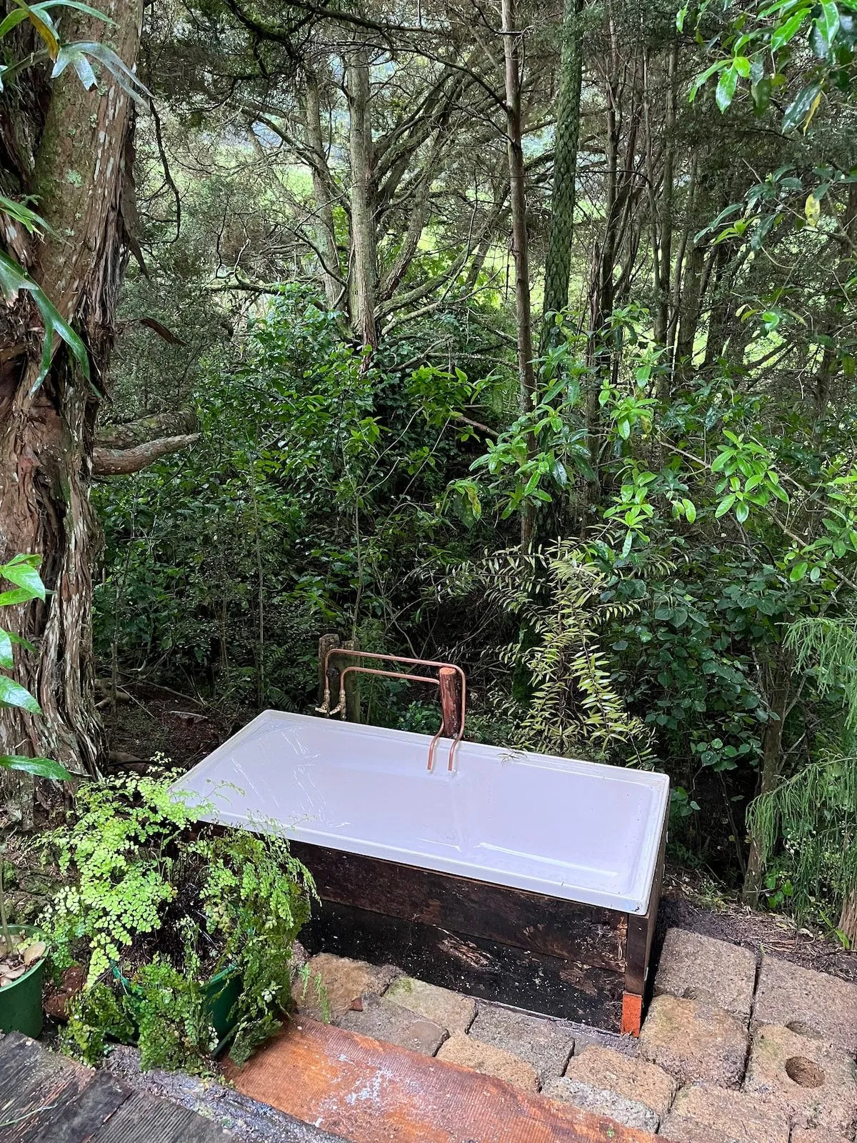 A freestanding bath set on brick paving among ferns and native bush.
