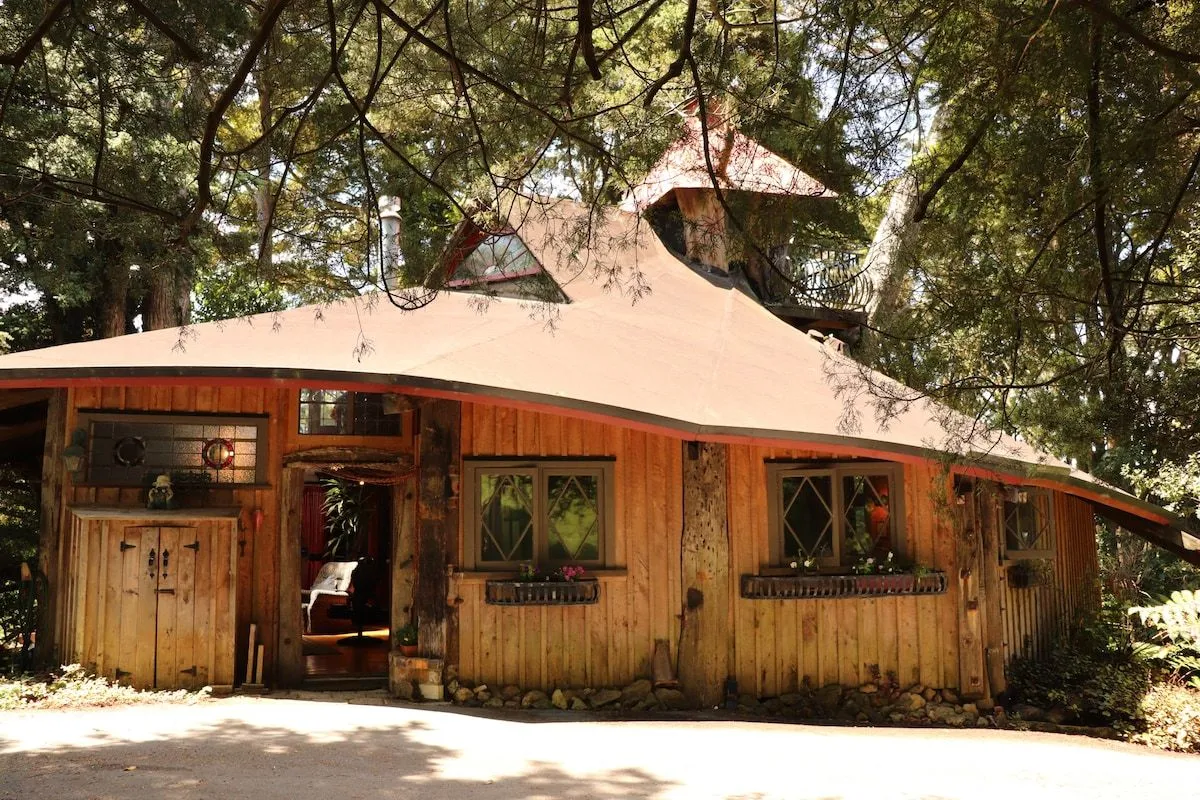 The curved shingled roofline of the treehouse seen through surrounding native trees.