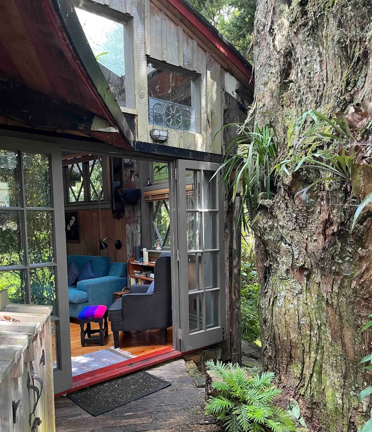 The entrance to the treehouse beside a large tree trunk, with the door open onto the warm interior.